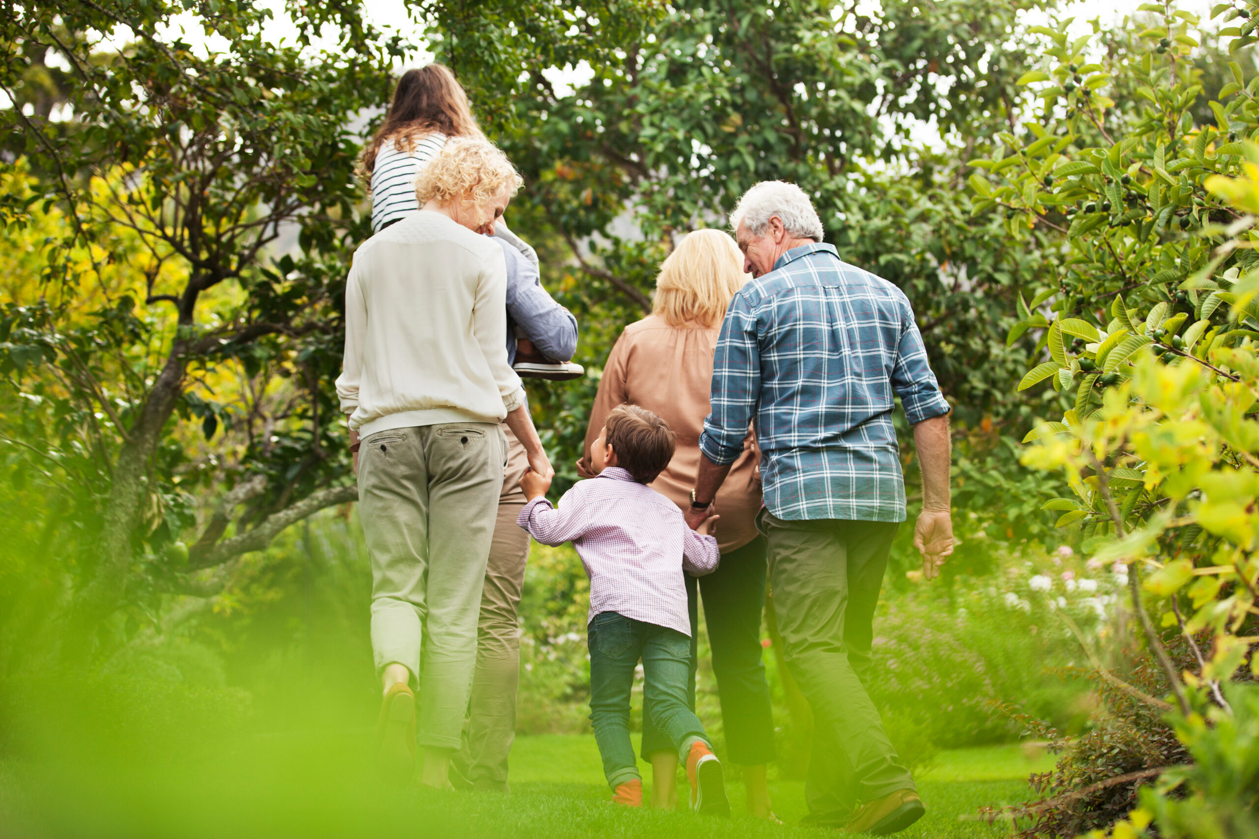 Group of people walking together through a leafy garden, seen from behind.
